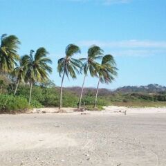 Отель Harbor Reef Beach & Surf Resort пляж фото 2