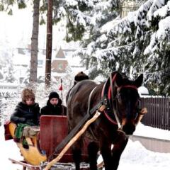 Отель Willa Marma B&B спортивное сооружение