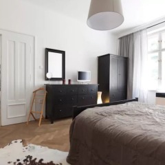 Апартаменты Chic and Spacious Buzulucka Apartment Прага удобства в номере фото 2