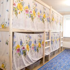 Гостиница Hostels Rus - Kuzminki детские мероприятия