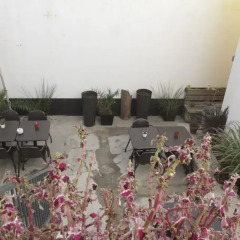 Hostel Procyon Понта-Делгада