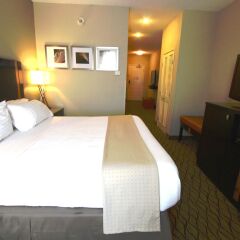 Отель Holiday Inn Effingham США, Эффингем - отзывы, цены и фото номеров - забронировать отель Holiday Inn Effingham онлайн комната для гостей фото 5