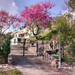 Отель Villa Poggio Ulivo B&B Relais Риволи-Веронезе фото 3