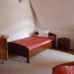Отель Family Hotel Silver Болгария, Смолян - отзывы, цены и фото номеров - забронировать отель Family Hotel Silver онлайн удобства в номере