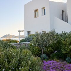 Milos Breeze Boutique Hotel фото 13