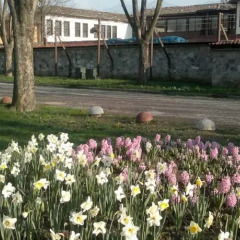 Otantik Club Hotel Турция, Бурса - отзывы, цены и фото номеров - забронировать отель Otantik Club Hotel онлайн фото 2