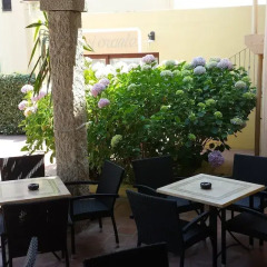 Hotel Le Mimose фото 14
