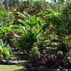 Отель Island Breeze Fiji Савусаву