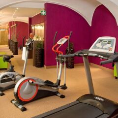 Отель Grand Hotel Mercure Biedermeier Wien Австрия, Вена - 4 отзыва об отеле, цены и фото номеров - забронировать отель Grand Hotel Mercure Biedermeier Wien онлайн фитнесс-зал