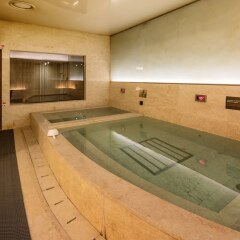 Отель Mercure Ambassador Seoul Gangnam Sodowe бассейн фото 3