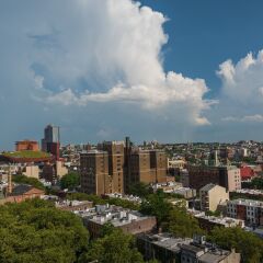 Отель EVEN Hotel Brooklyn США, Нью-Йорк - отзывы, цены и фото номеров - забронировать отель EVEN Hotel Brooklyn онлайн балкон