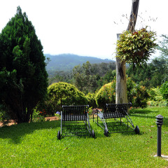 Отель Quinta Cova Do Milho Машику фото 12