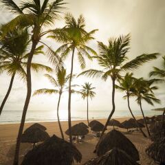 Отель Tropical Princess Beach Resort & Spa - All Inclusive пляж