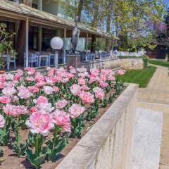 Lebed Hotel - All Inclusive фото 3