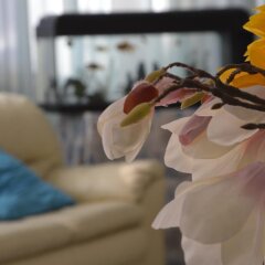 Hotel Fucsia фитнесс-зал