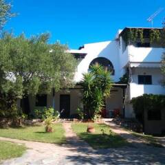 Отель Olive House Ситония фото 12
