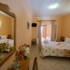 Hotel Sofia комната для гостей фото 5