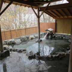 Отель Kinugawa Gyoen Япония, Никко - отзывы, цены и фото номеров - забронировать отель Kinugawa Gyoen онлайн бассейн фото 2