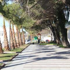 Гостиница Avangard Health Resort фото 7
