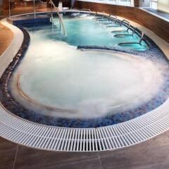 Гостиница Luciano Spa бассейн фото 4