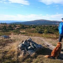 Отель Lillehammer Fjellstue фото 5