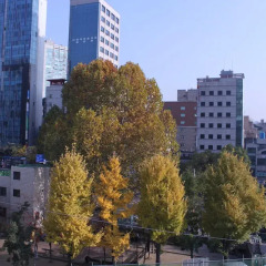 Отель K-guesthouse Sinchon 2 городской автобус