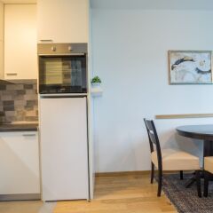 Отель Belgrade Center Apartment Skadarlija III Сербия, Белград - отзывы, цены и фото номеров - забронировать отель Belgrade Center Apartment Skadarlija III онлайн фото 5