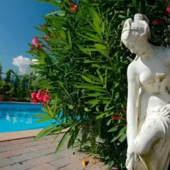 Garni-Hotel Tritscherhof Тироло помещение для мероприятий фото 2
