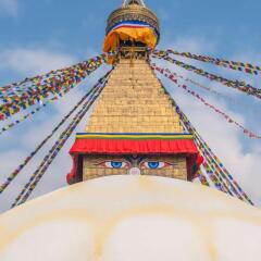Отель Hyatt Regency Kathmandu Непал, Катманду - отзывы, цены и фото номеров - забронировать отель Hyatt Regency Kathmandu онлайн фото 6