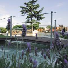 Domus Park Hotel Rome бассейн фото 3