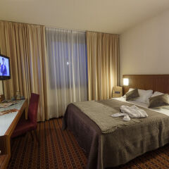 Отель First Hotel Malpensa Италия, Сомма-Ломбардо - 2 отзыва об отеле, цены и фото номеров - забронировать отель First Hotel Malpensa онлайн комната для гостей фото 3