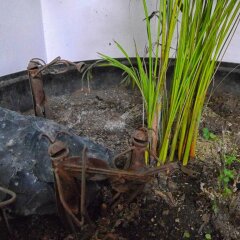 Hostel Hospedarte Centro бассейн