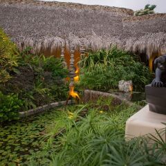 Tentaciones Hotel & Lounge Pool - Adults Only фото 7