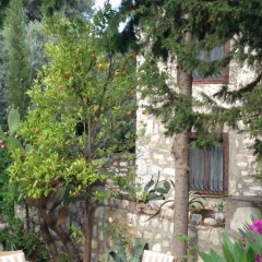 Medusa House Hotel Турция, Алтинкум - отзывы, цены и фото номеров - забронировать отель Medusa House Hotel онлайн фото 8