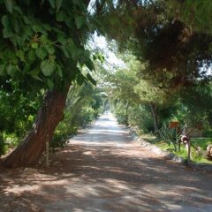 Отель Agriturismo Terrauzza sul Mare Сиракуза приотельная территория