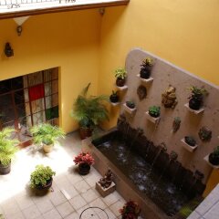 Отель Casa Alebrijes Gay Hotel Мексика, Гвадалахара - отзывы, цены и фото номеров - забронировать отель Casa Alebrijes Gay Hotel онлайн фото 4