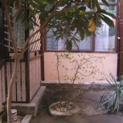 Отель Tina's Homestay Грузия, Тбилиси - отзывы, цены и фото номеров - забронировать отель Tina's Homestay онлайн бассейн