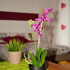 Апартаменты Apartment Fewo Больцано фото 10