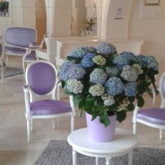 Отель Kyriad Saumur Centre Сомюр помещение для мероприятий фото 2