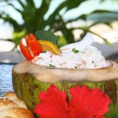 Naigani Island Resort in Korovou, Fiji from 460$, photos, reviews - zenhotels.com meals