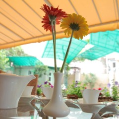 Daniel Boutique Hotel бассейн