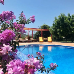 Lumina Otel Турция, Патара - отзывы, цены и фото номеров - забронировать отель Lumina Otel онлайн бассейн фото 3