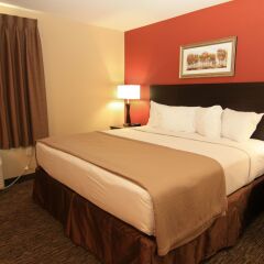 MainStay Suites Rapid City in Rapid City, United States of America from 154$, photos, reviews - zenhotels.com guestroom