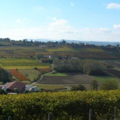 Отель Agriturismo Podere La Piazza Костиглиоле-д'Асти фото 4