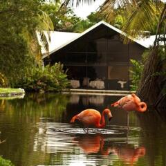 Отель Bavaro Princess All Suites Resort Spa & Casino All Inclusive фото 4