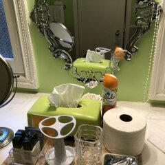 Отель Barclay House Bed and Breakfast Канада, Ванкувер - отзывы, цены и фото номеров - забронировать отель Barclay House Bed and Breakfast онлайн спа