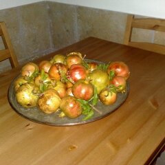 Отель Le Sete Бари сауна