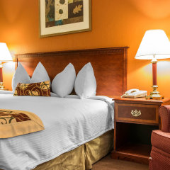 Отель Rodeway Inn США, Куперсвилль - отзывы, цены и фото номеров - забронировать отель Rodeway Inn онлайн комната для гостей фото 3