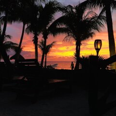Отель Beachfront Hotel La Palapa - Adults Only Мексика, Остров Ольбокс - отзывы, цены и фото номеров - забронировать отель Beachfront Hotel La Palapa - Adults Only онлайн пляж фото 2