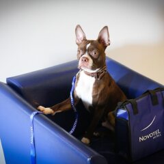 Отель Novotel Toronto North York Канада, Торонто - отзывы, цены и фото номеров - забронировать отель Novotel Toronto North York онлайн фитнесс-зал фото 3